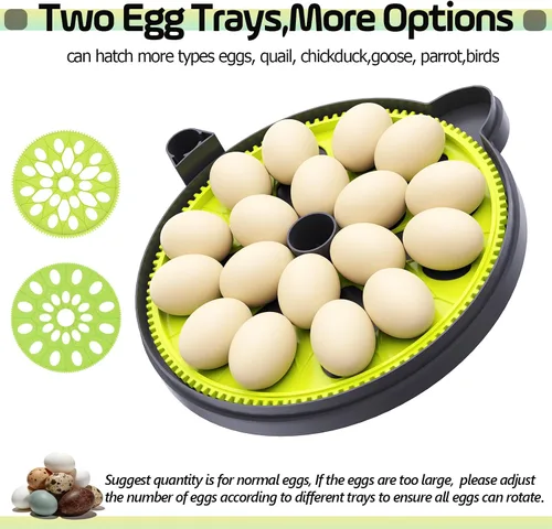 Miniatura 6 de Incubadora de huevos con contador automático de días de giro de huevos y atomizador para control automático de humedad, bloqueo automático completo