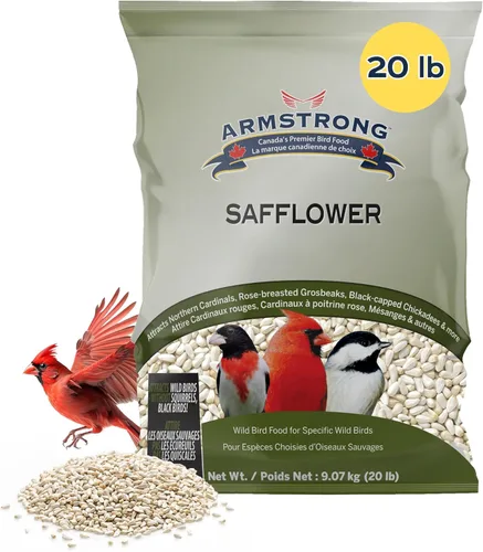 Armstrong - Comida para pájaros silvestres, semillas de cártamo, 20 libras, para cardenales del norte, picos de pecho rosa y gallineros con tapa