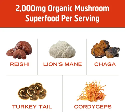 Miniatura 7 de OM MUSHROOM SUPERFOOD Morning Energy Blend - Mezcla de bebida de hongos sin café con Cordyceps, melena de león, rodiola y vitamina D2 - Energía