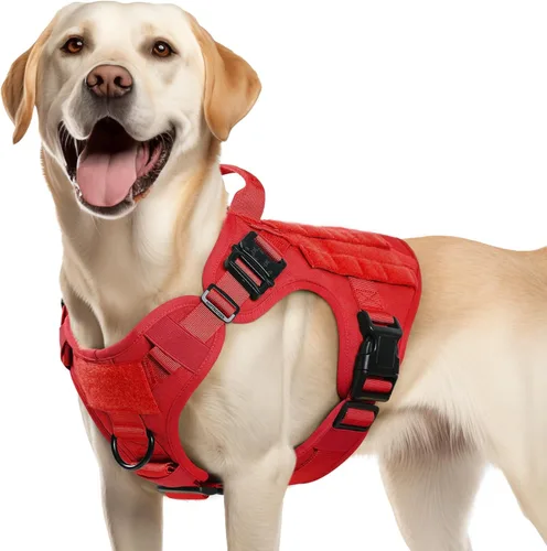 Miniatura 53 de rabbitgoo - Arnés táctico para perros pequeños, arnés resistente para mascotas con asa, chaleco de servicio sin tirones para razas pequeñas, chaleco