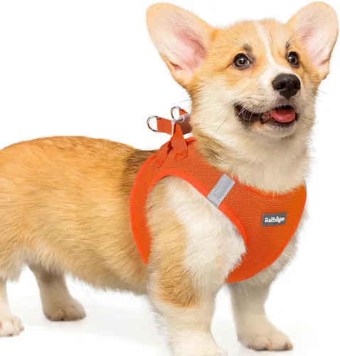 Miniatura 121 de rabbitgoo Arnés para perro pequeño, chaleco de malla suave para cachorros con hebilla de seguridad, arnés reflectante transpirable para mascotas
