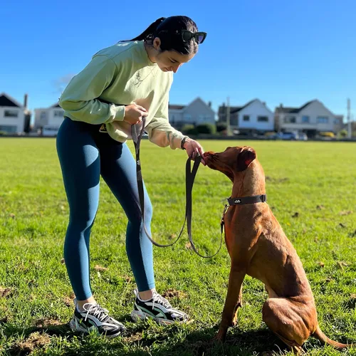 Miniatura 6 de Correa negra para perro de 6 pies resistente con mango acolchado, correa de nailon fuerte reflectante para perros medianos y grandes