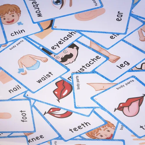Miniatura 8 de SANTSUN 36 piezas de tarjetas flash My Body Parts para niños pequeños, con agujeros perforados, para que puedas ordenar y organizar las tarjetas