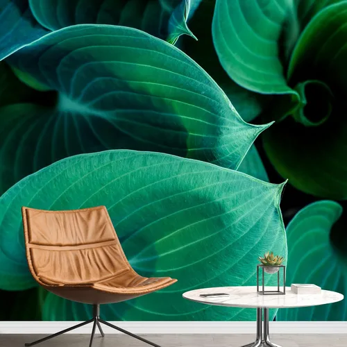 Miniatura 19 de wall26 serie Wall Mural Papel de empapelar autoadhesivo, grande., WMR-WP-X-D986-66x24x4