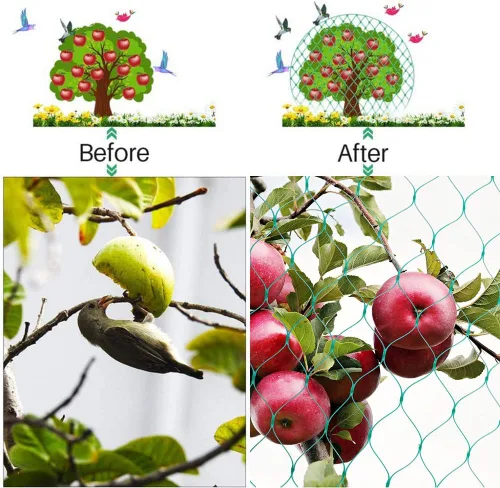 Miniatura 3 de Red para pájaros para jardín, red de jardín de 12 x 48 pies, red de árboles frutales no se enreda y malla reutilizable para pájaros protege las 13 x