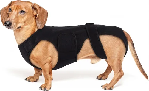 Soporte de espalda para perros con artritis, soporte de espalda de movilidad IVDD para mascotas, fuerte apoyo de estabilidad de la columna vertebral