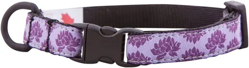 Miniatura 8 de RC Pets Kitty Breakaway - Collar para gatos, Cat-titude