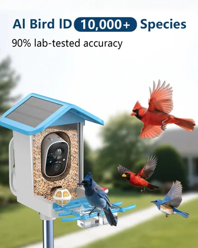 Miniatura 8 de Comedero inteligente para pájaros con cámara, video HD 2K, IA identifica especies de pájaros alimentado por energía solar, videos de captura