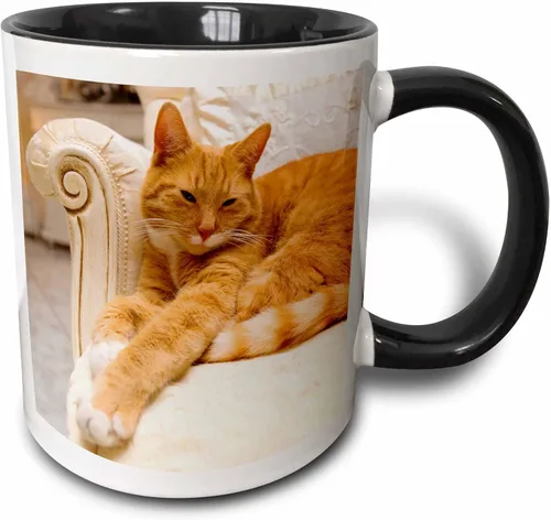 3D Rose Happy Orange Tabby Cat Relaxing on Fancy Armchair - Taza de cerámica de dos tonos, color negro