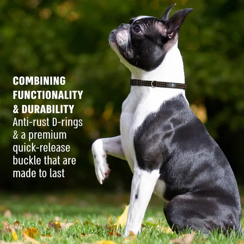 Miniatura 2 de Active Pets Collar de liberación rápida para perros pequeños y grandes, collar de seguridad ajustable con hebilla segura, comodidad transpirable