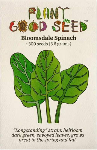 Plant Good Seed Semillas orgánicas de espinaca Bloomsdale de larga duración, paquete de 300, semillas tradicionales para plantar verduras,