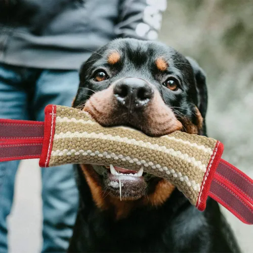 Miniatura 6 de Juguetes interactivos de agua para perros
