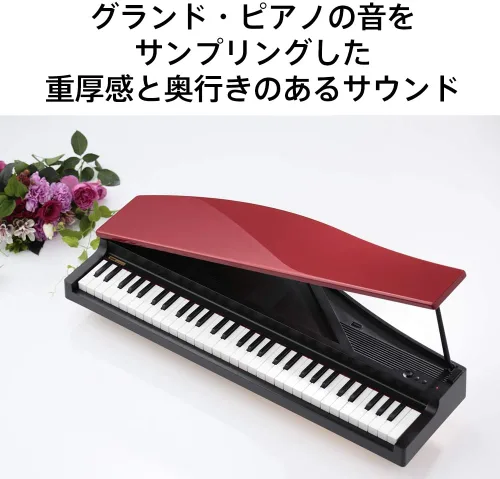 Miniatura 3 de Korg micropiano 61-Key Piano digital compacto, color negro parte superior