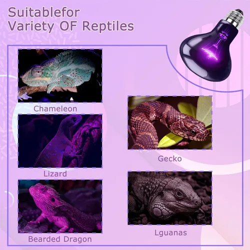 Miniatura 6 de Bombilla nocturna de reptil de 75 W, lámpara de calor UVA – Bombilla de luz de luna natural simulada para dragón barbudo, lagarto, serpiente
