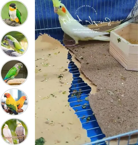 Miniatura 5 de Firdnyohs 25 piezas de papel de grava para jaula de pájaros, 11 x 17 pulgadas, papel de grava especial para jaula de pájaros en arena marina. Ideal