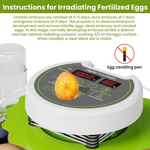 Miniatura 4 de Incubadora de 18 huevos con giro automático de huevos y control de humedad, vista panorámica HD, vela integrada para incubar pollo, pato, granjas