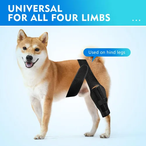 Miniatura 6 de Rodillera negra para perro para pierna trasera, soporte ajustable para piernas de perro, pierna trasera para aliviar el dolor en las articulaciones