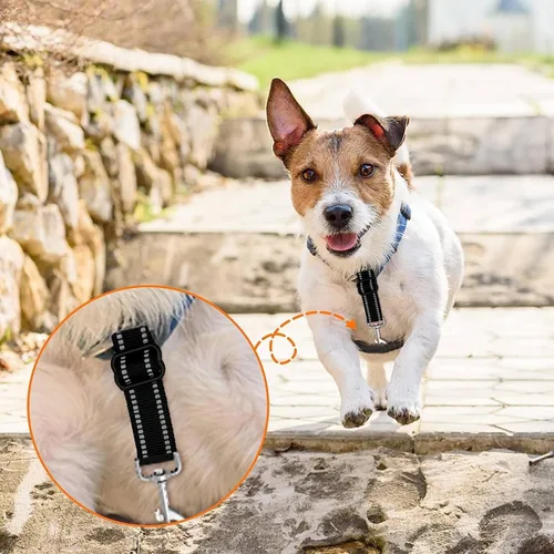 Miniatura 2 de Clip de seguridad para perro, clip de seguridad para collar de punta, 2 clips de seguridad para clip de punta, clip de seguridad para collar