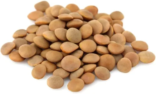 Miniatura 16 de CZ Grain Semillas de parcela de alimentos para plantar: cultiva alimentos para ciervos, pavos, alces, fesantes, codornices y otros animales Cebada