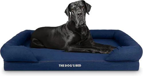Miniatura 45 de The Dog's Bed - Cama ortopédica de espuma viscoelástica para perros medianos, colchón de soporte de alta densidad, entrada frontal baja, funda negro