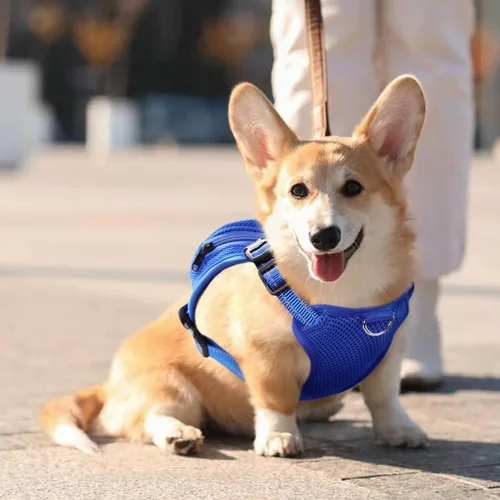 Miniatura 5 de IDOMIK - Mochila para perro con arnés, mochila sin tirón con anillo en D para perros pequeños y medianos, linda mochila autoportante para perros