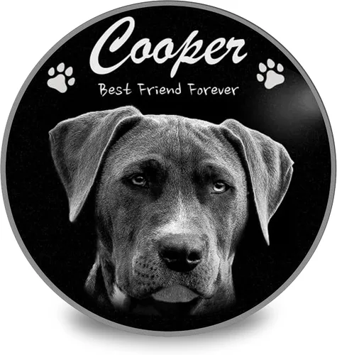 Miniatura 11 de ADFSTONE Piedras conmemorativas para mascotas en forma de corazón de 10 pulgadas, regalos personalizados de recuerdo de perros, placa de duelo