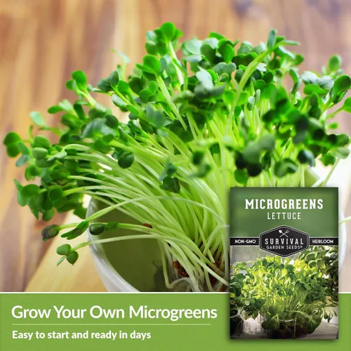 Miniatura 4 de 1 paquete de semillas de lechuga Microgreens para plantar y cultivar, microverduras de hoja verde aptas para principiantes, para interiores, cultiva