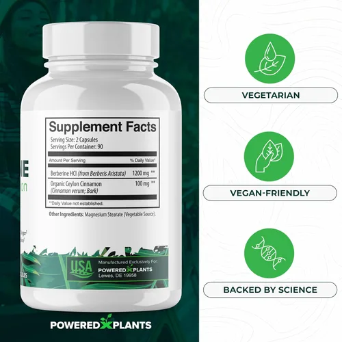 Miniatura 5 de Suplemento de berberina pura, 1300 mg de berberina con canela de Ceilán para el metabolismo y el apoyo del sistema inmunológico, 1 paquete de 180