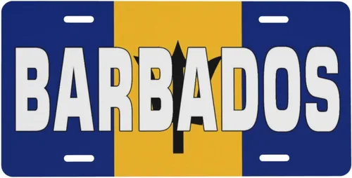 Miniatura 11 de Placa de Matrícula de Aluminio con Diseño de Cinta de Casete 6 x 12 Pulgadas Cubierta de Placa de Matrícula Frontal de Metal para Automóvil Azul