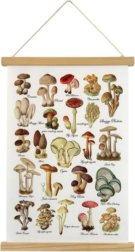 Miniatura 10 de XIAOAIKA Póster de hierbas aromáticas para pared, impresiones artísticas HD vibrantes y coloridas, estilo rústico de hierbas, póster para colgar