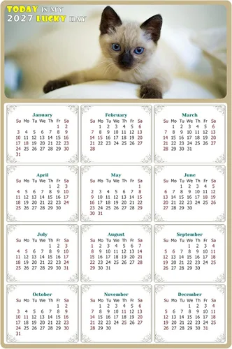 Calendario magnético 2026 – Imanes del calendario – Today is my Lucky Day – Resistente a la decoloración, desgarros y agua – Temático de gato 013