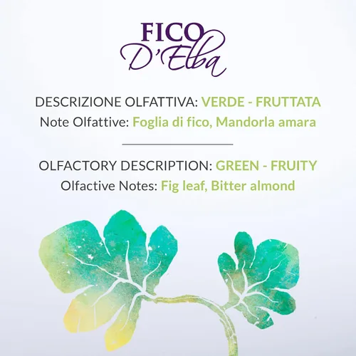 Miniatura 4 de Elba's Fig Home Fragancia Difusor 8.5 fl oz