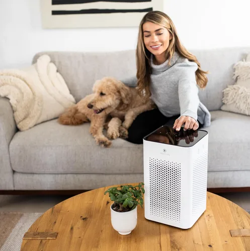 Miniatura 7 de Purificador de aire Medify MA-25 con filtro True HEPA H13 Cobertura de 77 metros cuadrados en 1 hora para alérgenos, humo, incendios forestales