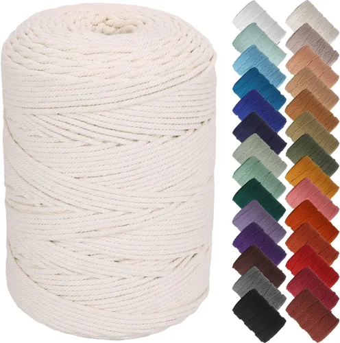 Miniatura 160 de NOANTA - Cuerda de macramé color beige natural, 1/8 pulgadas (3 mm) x 109 yardas (100 metros), cuerda de algodón colorido para colgar en la pared