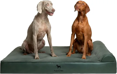 Miniatura 12 de NOAH & PAW Cama para perro, 28x23x7.5 pulgadas, camas ortopédicas para perros de tamaño mediano, espuma viscoelástica tipo cáscara de huevo Cuero
