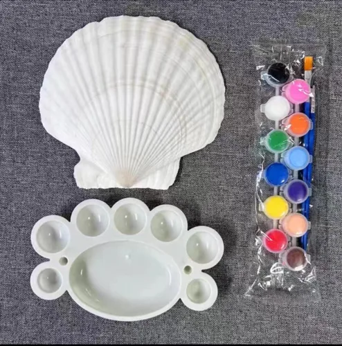 Miniatura 2 de Conchas marinas pequeñas y blancas en masa, conchas naturales para manualidades, decoración del hogar, relleno de jarrones