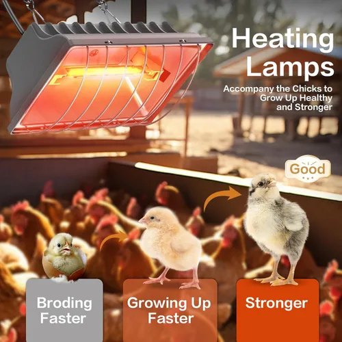 Miniatura 9 de Paquete de 2 calentadores de gallinero de 250 W para perrera, cama para gatos, reptiles e incubadoras, 2 modos de calentamiento para gallinero