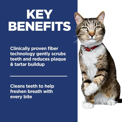 Miniatura 5 de Protección dental para gatos adultos Hill's Science Diet