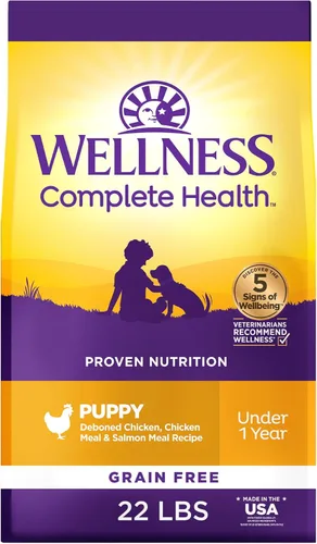 Wellness Complete Health - Alimento seco para cachorros, croquetas sin granos, receta natural, pollo y salmón, bolsa de 22 libras