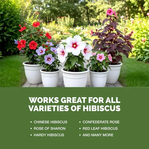 Miniatura 5 de Fertilizante de hibisco: alimento líquido para plantas para más flores, color vibrante y crecimiento tropical saludable, 8 onzas
