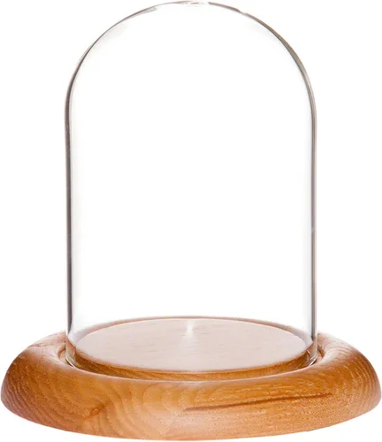 Miniatura 6 de Plymor Cúpula de cristal de 3" x 4" (base de chapa de roble)