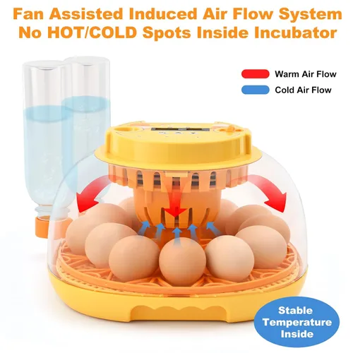 Miniatura 5 de Incubadora de huevos para incubar pollitos, volteador automático de huevos con capacidad para 12 huevos, incubadora inteligente con ventana