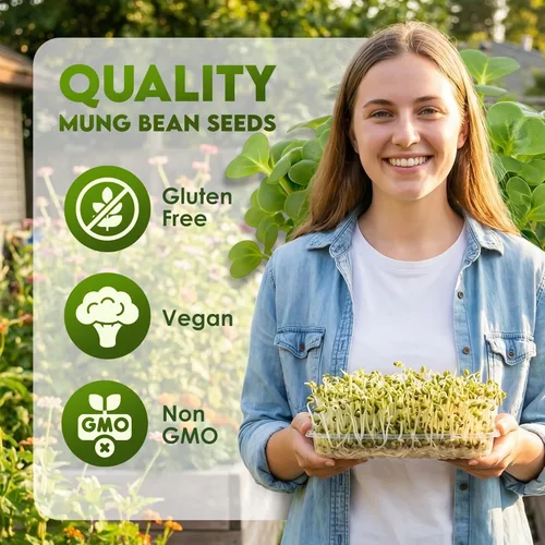 Miniatura 2 de Nature Jims Mung Bean Sprout Seeds – Semillas germinantes de 16 onzas – Semillas de frijol Mung Premium – Sin OMG – Bolsa resellable para una