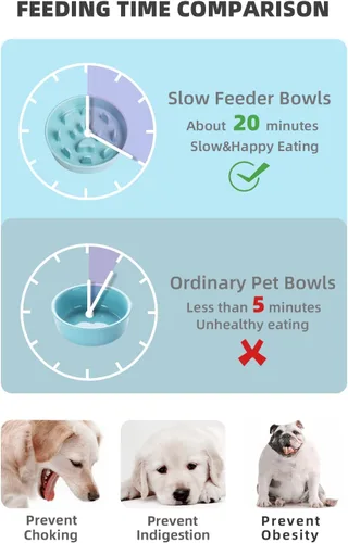 Miniatura 2 de Ceramic Fun - Cuenco de alimentación lenta de porcelana, cuenco de comedero lento para perros medianos (turquesa)