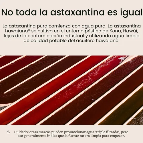 Miniatura 5 de Nutrex Hawaii BioAstin Astaxantina hawaiana - 4 mg, 120 cápsulas blandas - Suplemento antioxidante premium Farm-Direct para apoyar la salud
