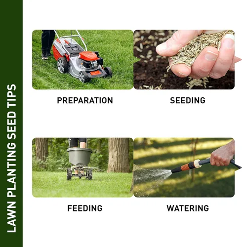 Miniatura 3 de Hancock Perenne Ryegrass, césped de alto desgaste y tolerante a la sequía, césped verde exuberante, bolsa de 25 libras