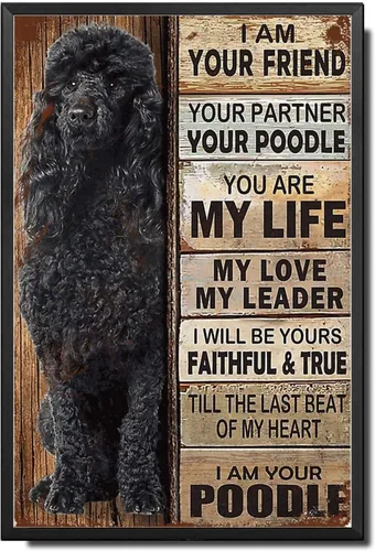 Miniatura 20 de Letrero de Metal Letrero de Hojalata Arte de Pared Vintage I Am Your Friend Regalo para Amantes de Schnauzer Arte de Pared Vintage Impresiones