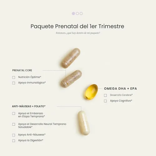 Miniatura 3 de Perelel Paquete prenatal del primer trimestre, multivitamínico con folato, vitamina D, Omega 3, hierro y jengibre, apoyo nutricional