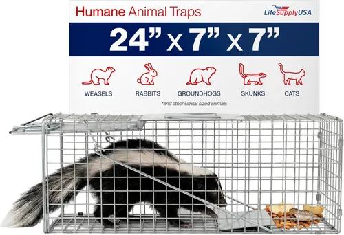 Trampa humana para gatos callejeros de 24 pulgadas, jaula de animales vivos para gatitos salvajes, zarigüeya, mapache, conejo, armadillo, trampa