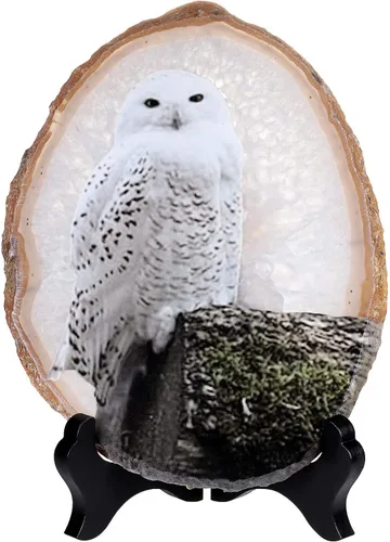 Rockcloud Exhibición de losa de ágata de búho nevado con soporte de madera, forma irregular, ágata, rebanada de piedra, adorno de escritorio de
